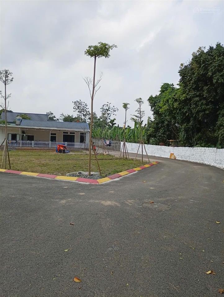 Phú cát 2x tỷ sở hữu 100m² full thổ, đất gần cnc hòa lạc! ra ql21 chỉ vài trăm mét