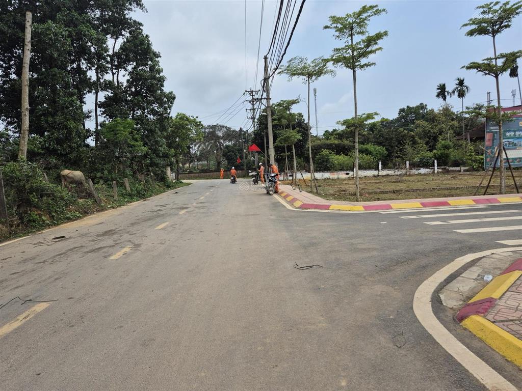 Ngay sát ql21  phú cát 115m2. giá siêu đẹp lô này không dành cho người do dự