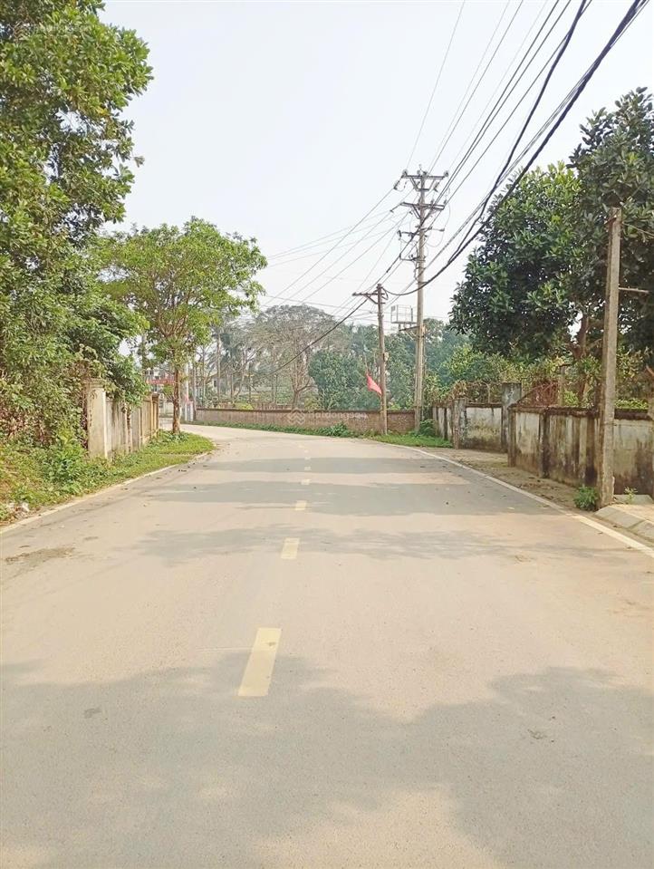 Ngay sát ql21  phú cát 115m2. giá siêu đẹp lô này không dành cho người do dự