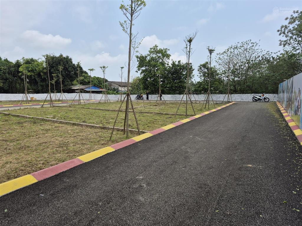 Ngay sát ql21  phú cát 115m2. giá siêu đẹp lô này không dành cho người do dự