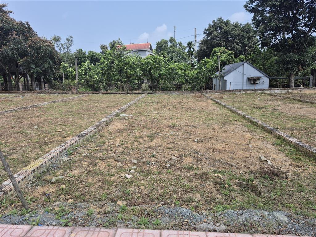 Ngay sát ql21  phú cát 115m2. giá siêu đẹp lô này không dành cho người do dự