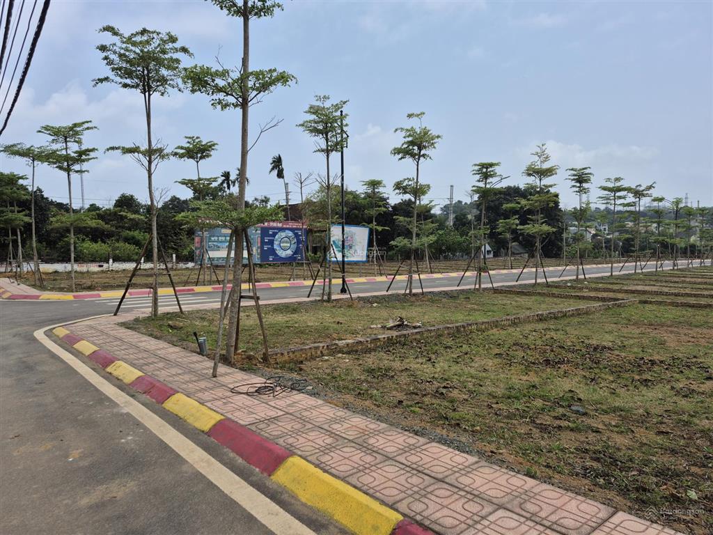 Ngay sát ql21  phú cát 115m2. giá siêu đẹp lô này không dành cho người do dự