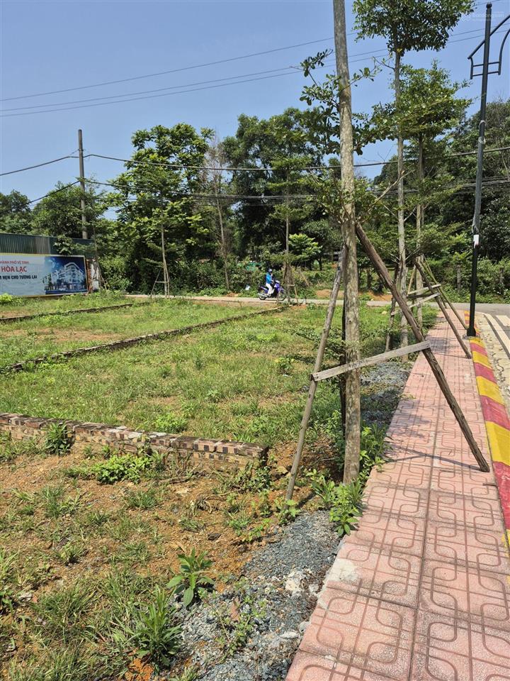 Đất hòa lạc 2026 nhiều tiềm năng tăng trưởng đừng đợi lên giá rồi mới tìm đất phú cát!