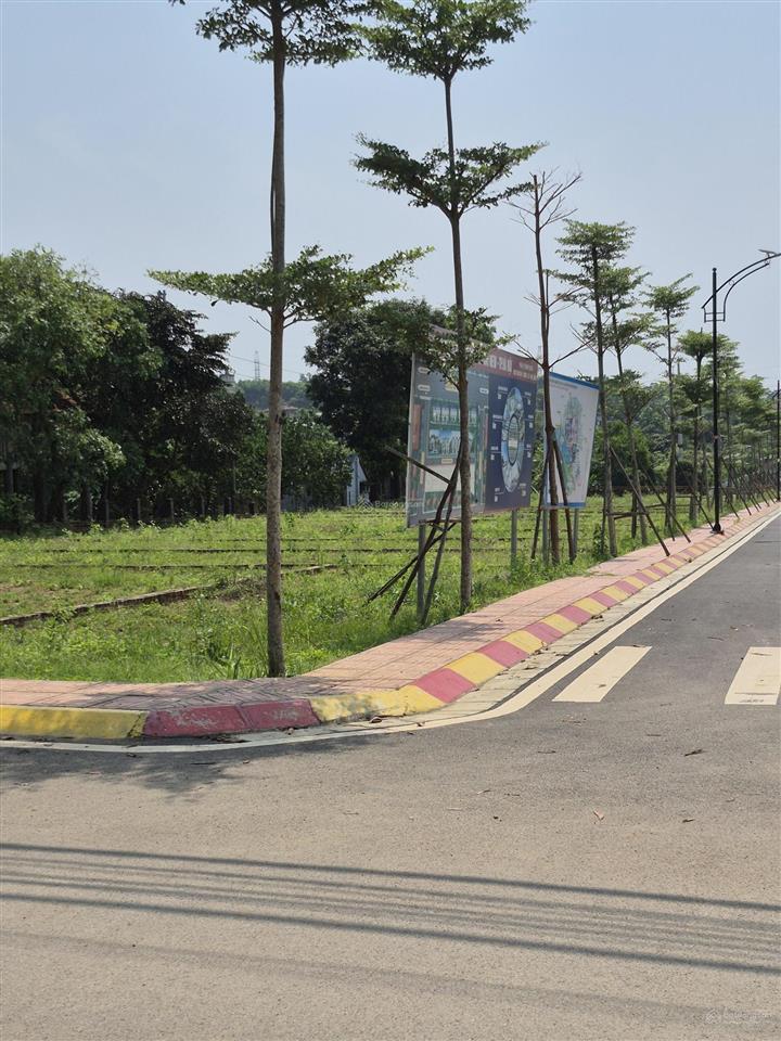 Đất hòa lạc 2026 nhiều tiềm năng tăng trưởng đừng đợi lên giá rồi mới tìm đất phú cát!