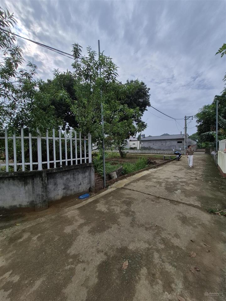 Chỉ hơn 1 tỷ hòa lạc  đầu tư an toàn cho tương lai chưa bao giờ là thiệt