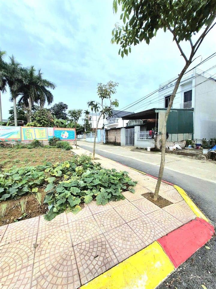 Đừng đợi ql21 mở rộng  các trường đại học xây dựng xong mới mua đất hòa lạc