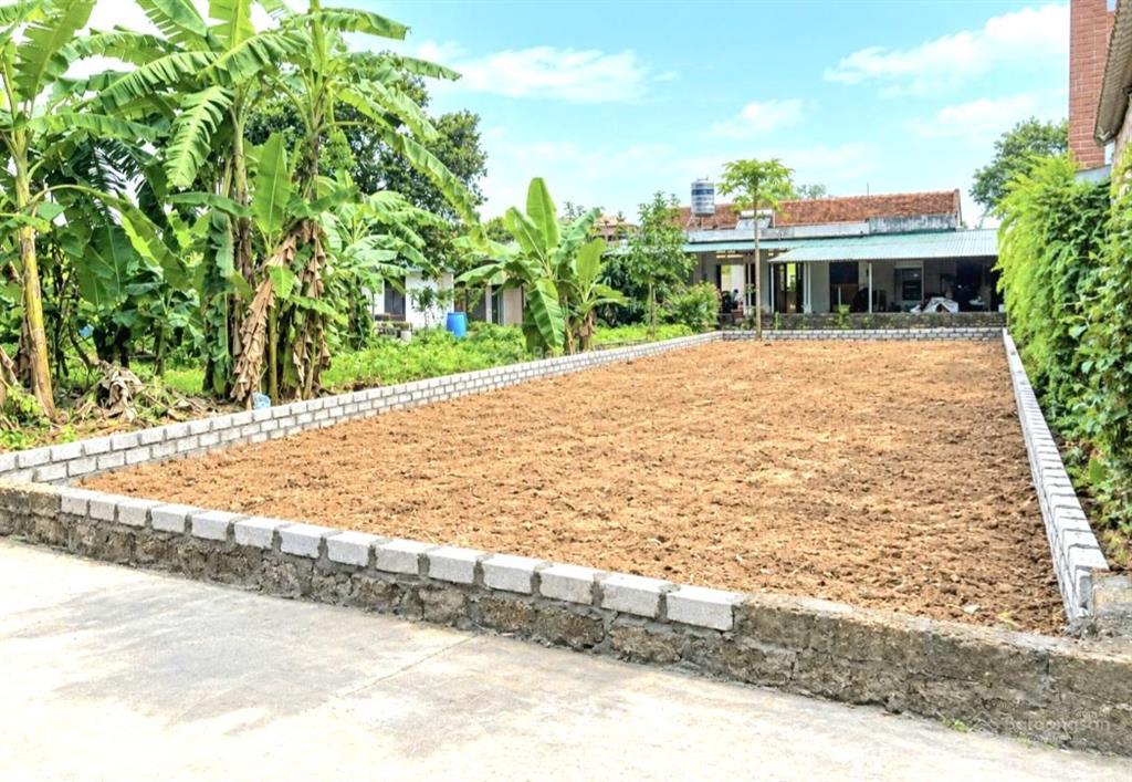 Quỹ đất đẹp  diện tích lớn  giá hơn 5 tỷ  phù hợp với khai thác dòng tiền hòa lạc...