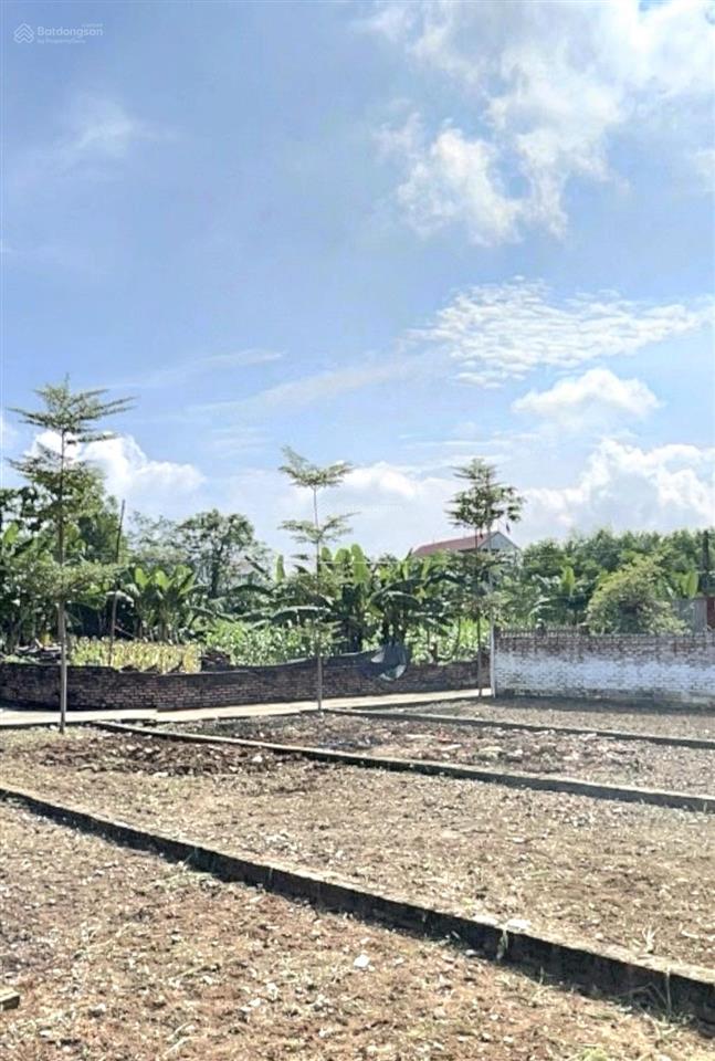Đất hạ bằng 73,2m2  mặt tiền 5,31m vị trí thuận tiện, giá chỉ 2,5 tỷ