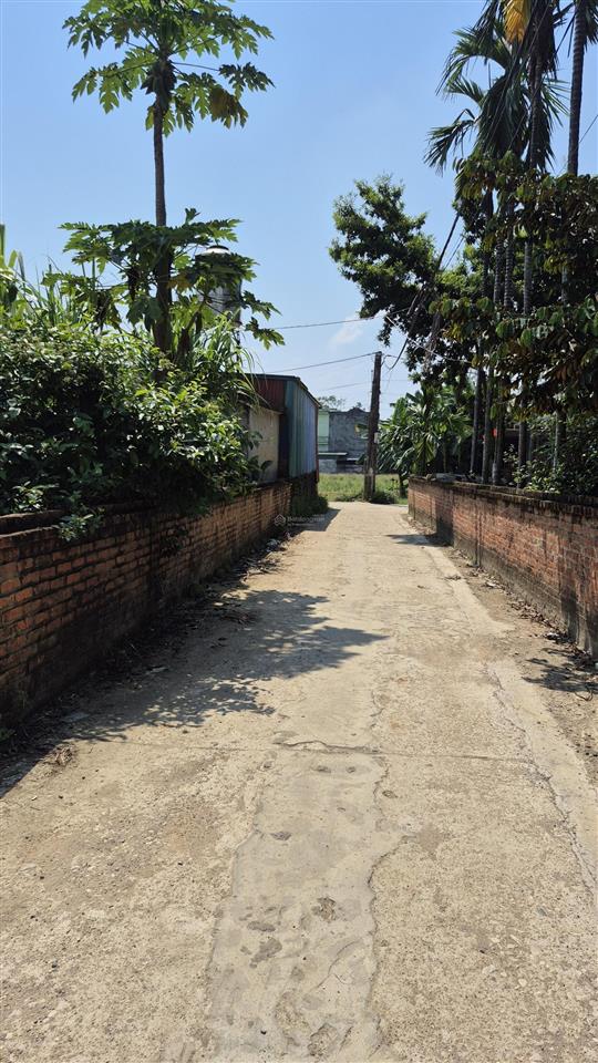 Đất phú cát 545m2, cách đh09 chỉ 10m, ngay khu quy hoạch gd các trường đh, tiện ích đủ đầy...!