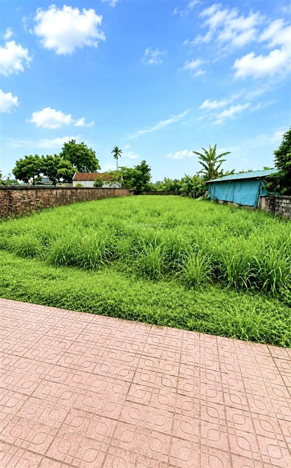 Đất phú cát 545m2, cách đh09 chỉ 10m, ngay khu quy hoạch gd các trường đh, tiện ích đủ đầy...!