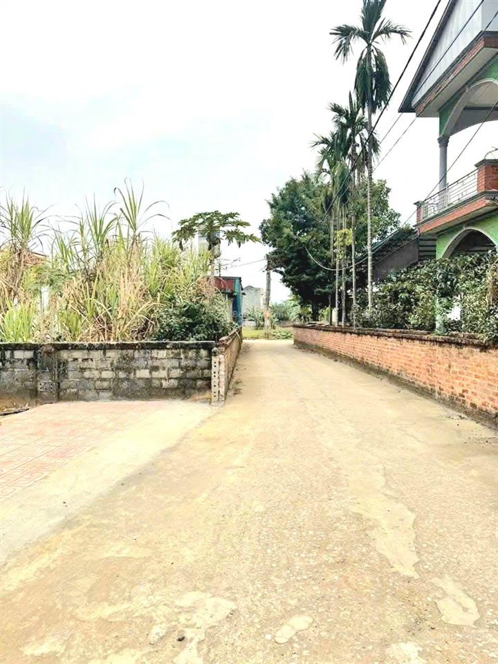 Đất phú cát 545m2, cách đh09 chỉ 10m, ngay khu quy hoạch gd các trường đh, tiện ích đủ đầy...!
