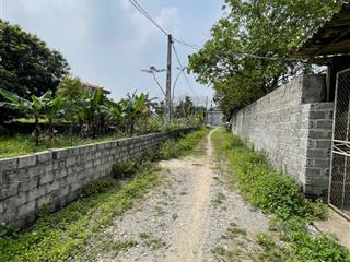 Cơ hội vàng đất cây lâu năm giá chỉ 6.5 triệu/m. đầu tư ngay kẻo lỡ! zalo 0326 789 ***