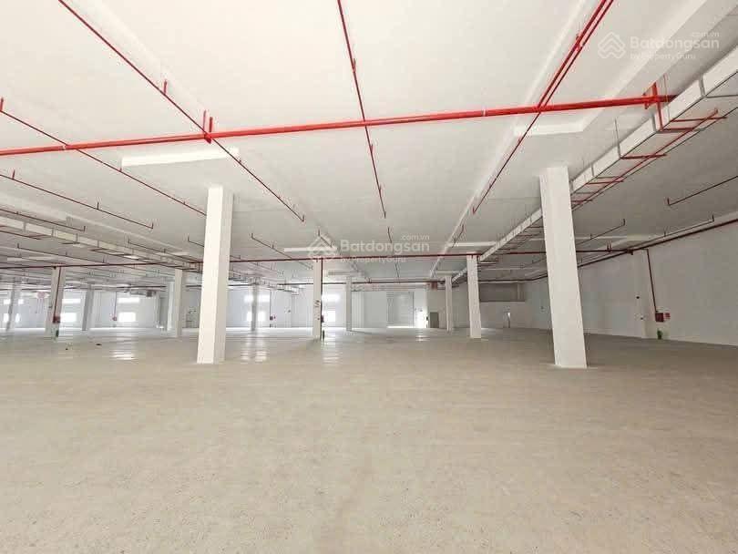 Cho thuê xưởng kcn bắc tân uyên , diện tích 24000m2 giá thuê 3,8 usd/m2