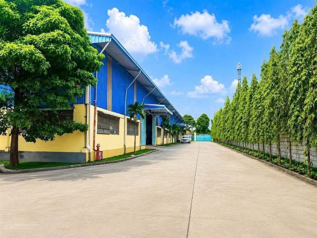 Xưởng bến cát 6600m2 giá thuê 2,8 usd/tháng