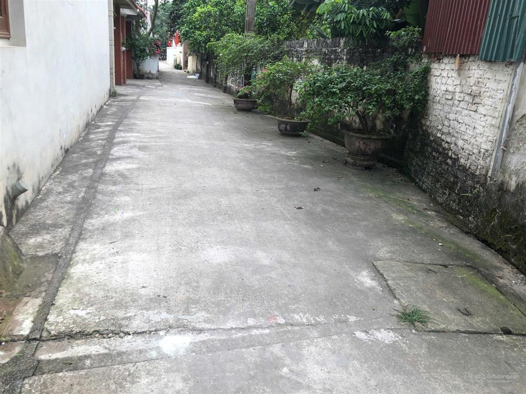 Bán gấp đất thổ cư đẹp, 10 tỷ, 162.5m2 tại thống nhất, xã song phượng, huyện đan phượng