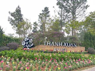 Bán đất tại ngọc thanh, phúc yên, 1,3 tỷ, 99m2, giá ưu đãi, uy tín