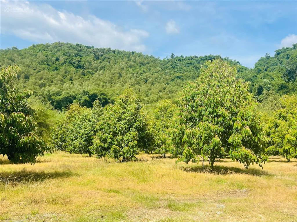Bán biệt thự nhà vườn 5,5ha 2 mặt tiền đường đt721 gần ngã 3 mađaguôi