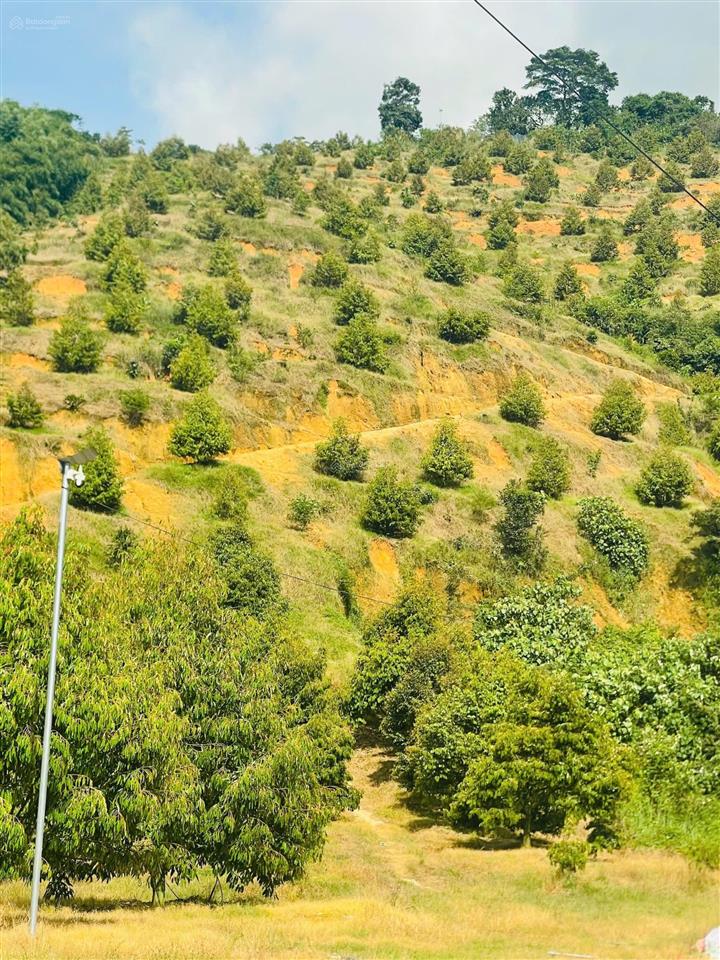 Bán biệt thự nhà vườn 5,5ha 2 mặt tiền đường đt721 gần ngã 3 mađaguôi