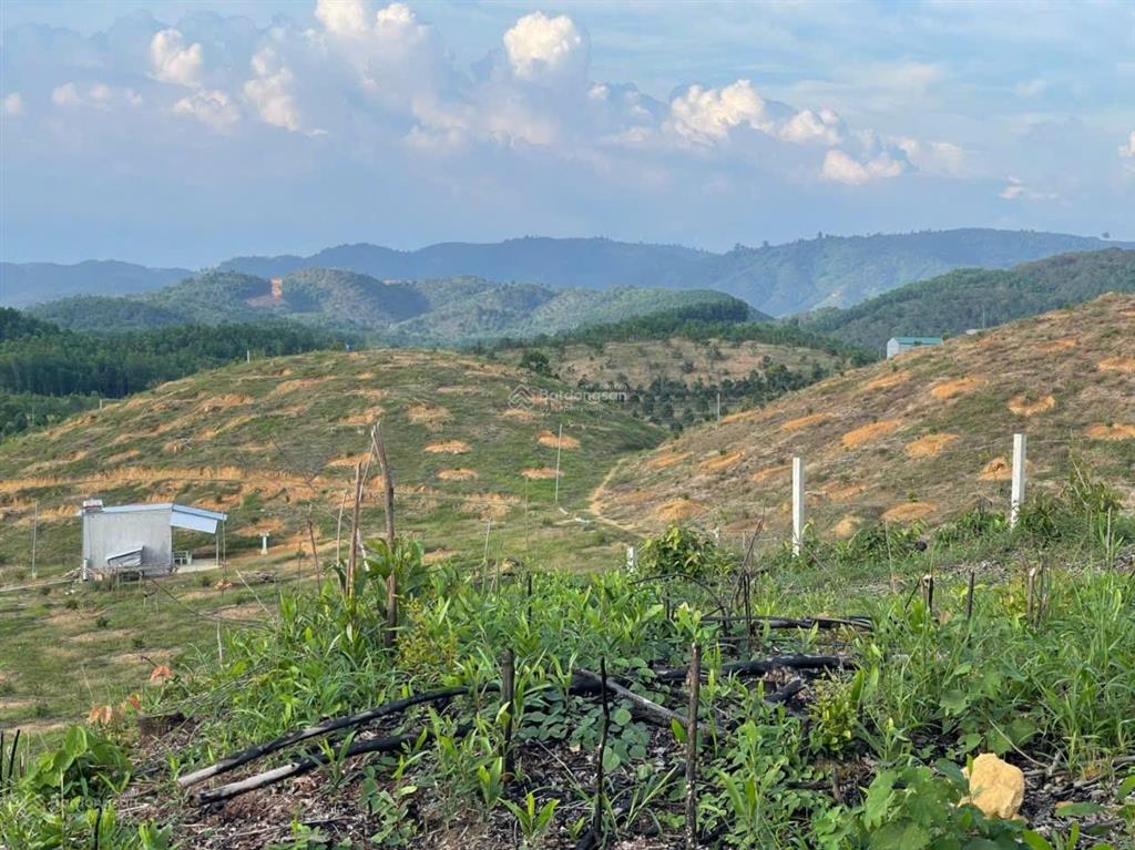 Bán biệt thự nhà vườn 5,5ha 2 mặt tiền đường đt721 gần ngã 3 mađaguôi