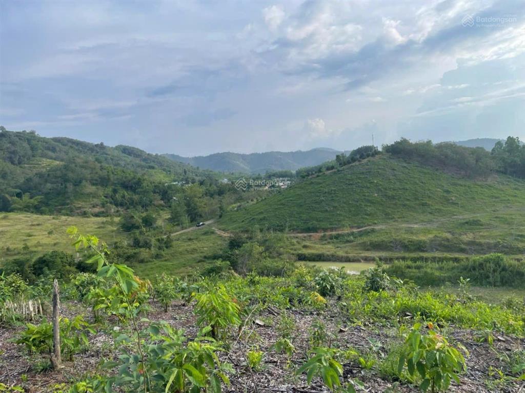 Bán biệt thự nhà vườn 5,5ha 2 mặt tiền đường đt721 gần ngã 3 mađaguôi