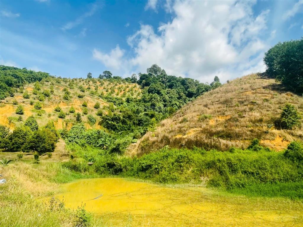 Bán biệt thự nhà vườn 5,5ha 2 mặt tiền đường đt721 gần ngã 3 mađaguôi