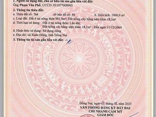 Bán đất tại xã xuân đông, 981 m2 thổ cư, pháp lý đầy đủ