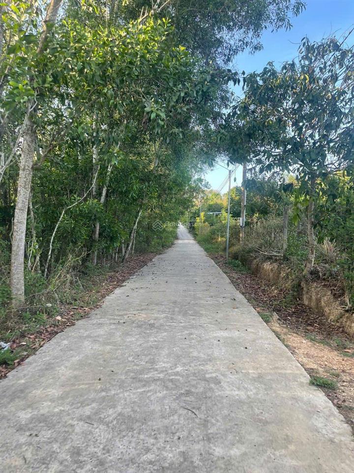 Đất trung tâm định quán, chính chủ đất thổ cư