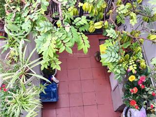 Nhà vị trí đẹp hùng duệ vương  nhà sân cổng