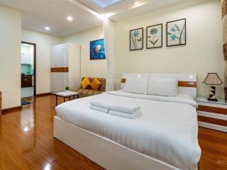 Cho thuê căn hộ 1pn tách bếp riêng thang máy thái văn lung quận 1, gần lê thánh tôn, hai bà trưng