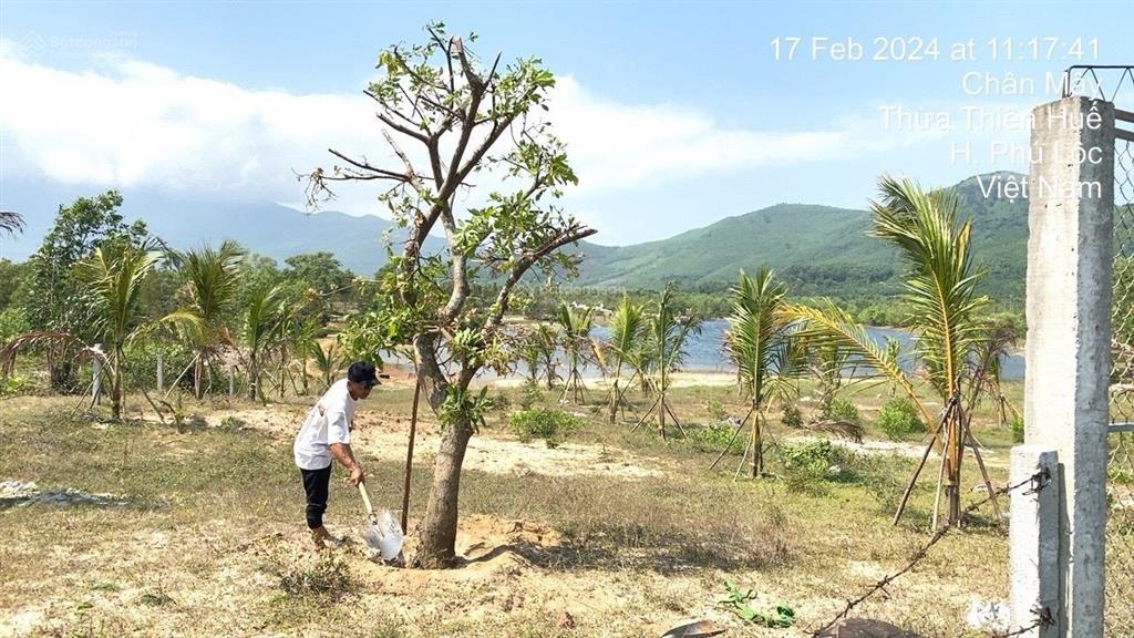Cần bán gấp đất mặt tiền chân mây  lăng cô  sổ đỏ công chứng ngay