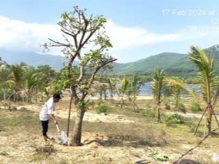 Cần bán gấp đất mặt tiền chân mây  lăng cô  sổ đỏ công chứng ngay