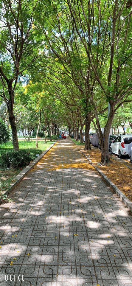 Bán gấp rẻ căn hộ sunview town hiệp bình thủ đức 2pn 2wc 64m² sổ hồng sẵn cách ql13 mở rộng 500 mét