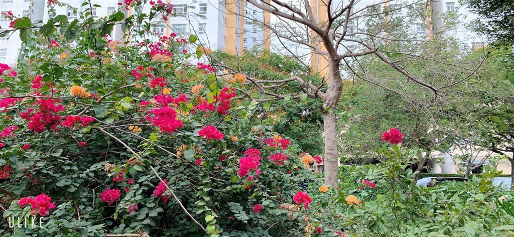 Cần tiền bán rẻ gấp căn hộ góc sunview town thủ đức hướng đông nam sổ hồng sẵn công viên ven sông