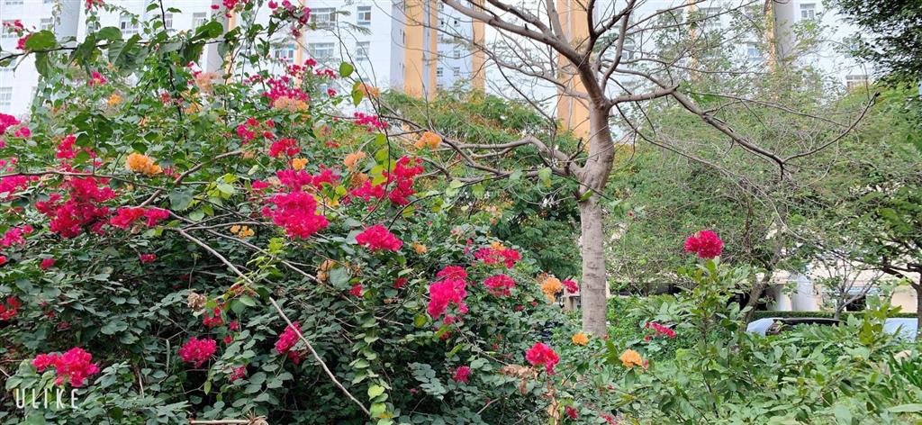 Bán rẻ căn hộ sunview town ngay ql13 phường hiệp bình thủ đức 3pn 2wc sẵn sổ hồng sở hữu vĩnh viễn