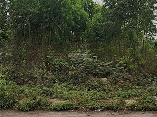 Trong chợ tình 420m full thổ cư, giá 10tr/m2, cách trung tâm chợ 100m