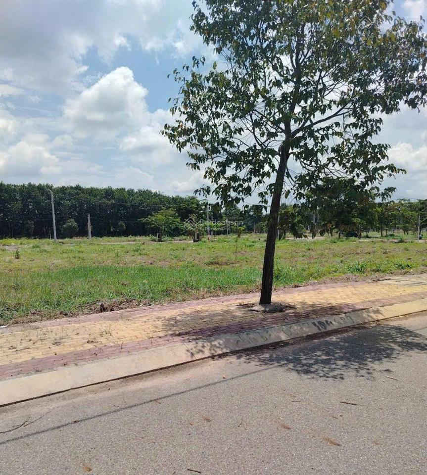 Mở bán kdc đức phát 3 tt hành chính bàu bàng f0 100m² 3tỷ 850 triệu full thổ cư đất ở đô thị