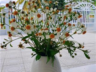 Chính chủ cần bán nhà và đất 10m mặt tiền đường nhựa chính, tổng diện tích sử dụng lên đến 500m2