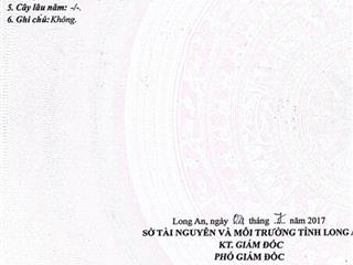 Bán đất tại xã bình hòa nam, đức huệ, long an, 2,5 tỷ, 10.375 m2, giá siêu hời