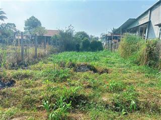 Giá ngộp 750 triệu 399.1m2 kp hòa bình, trảng bàng  thổ cư  shr  mặt tiền 8m