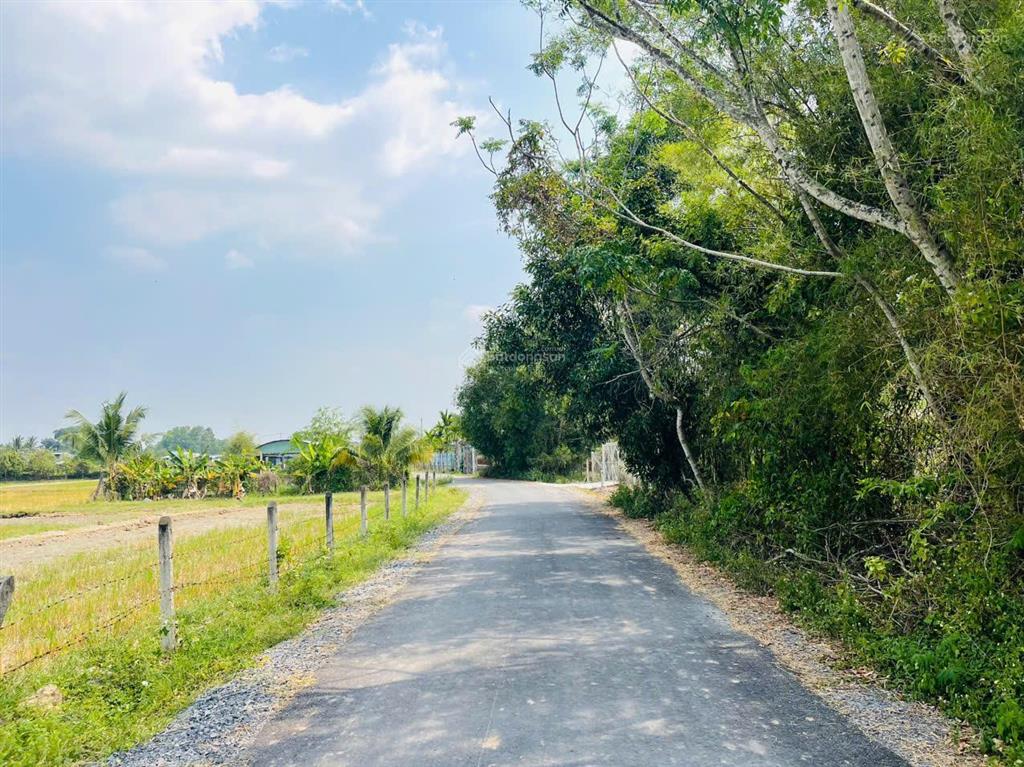 Bán gấp 161m2 đất củ chi giá 1.35 tỷ thổ cư, sổ hồng riêng