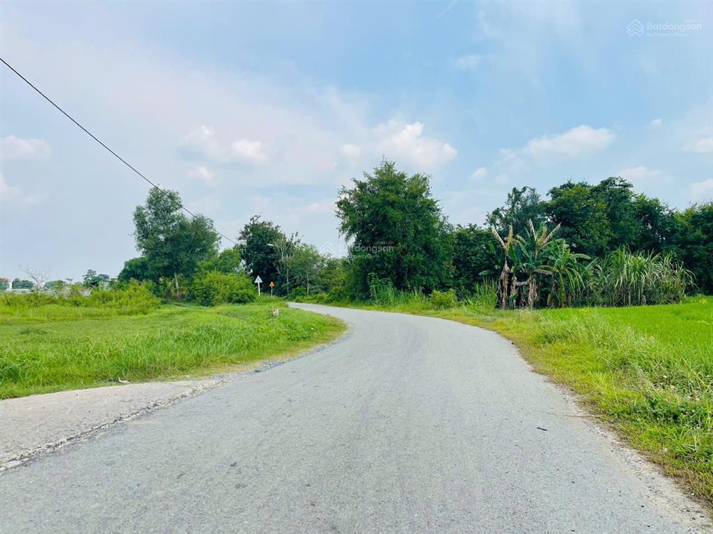 Bán gấp 272m2 đất củ chi giá 650tr shr