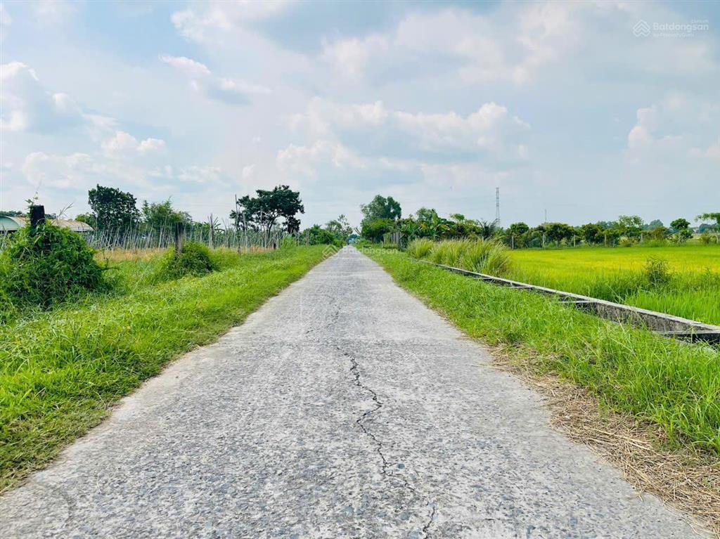 Bán gấp 272m2 đất củ chi giá 650tr shr