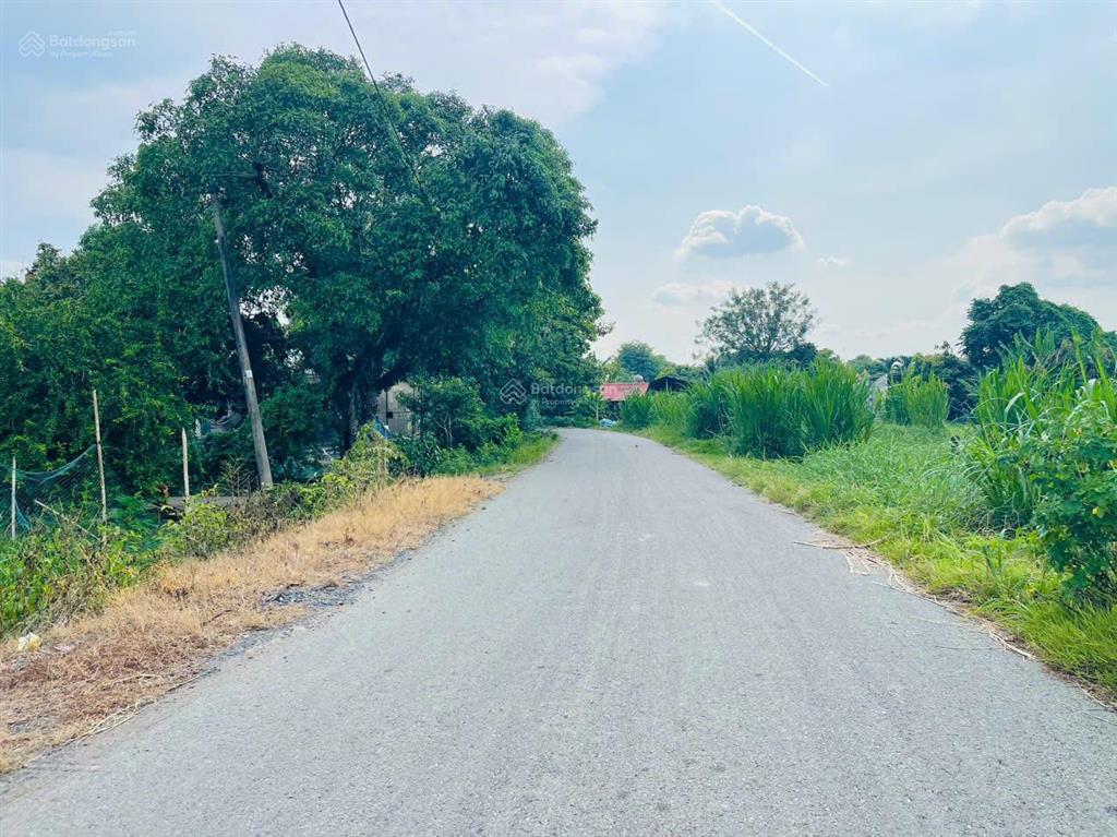 Bán gấp 272m2 đất củ chi giá 650tr shr