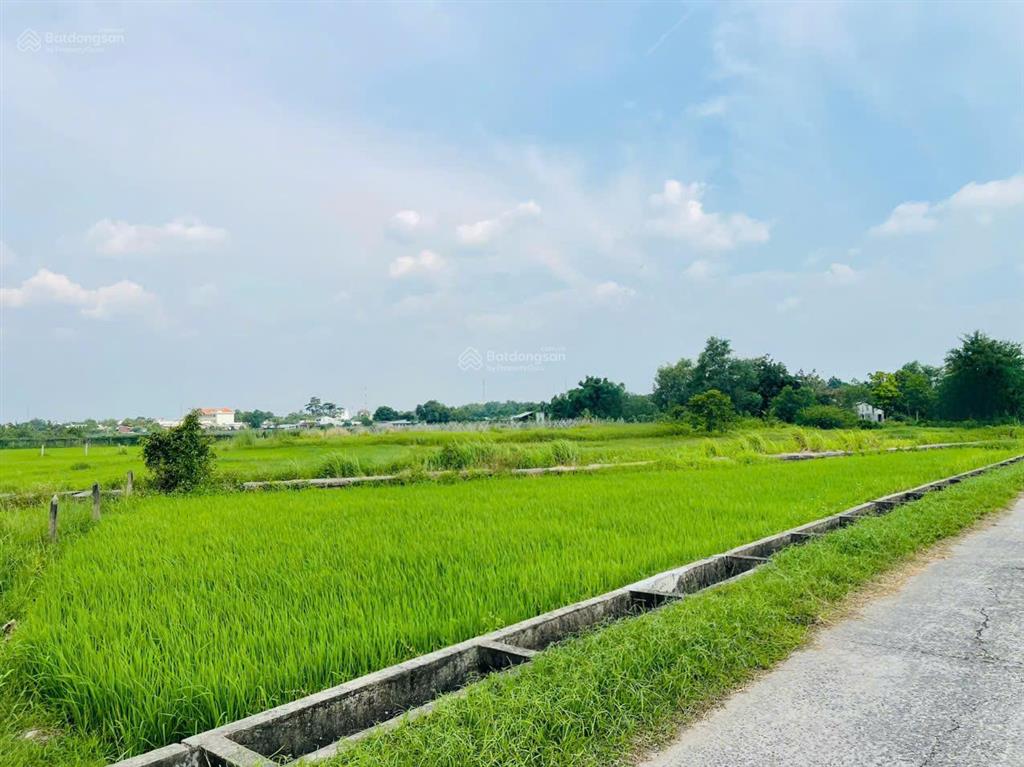 Bán gấp 272m2 đất củ chi giá 650tr shr