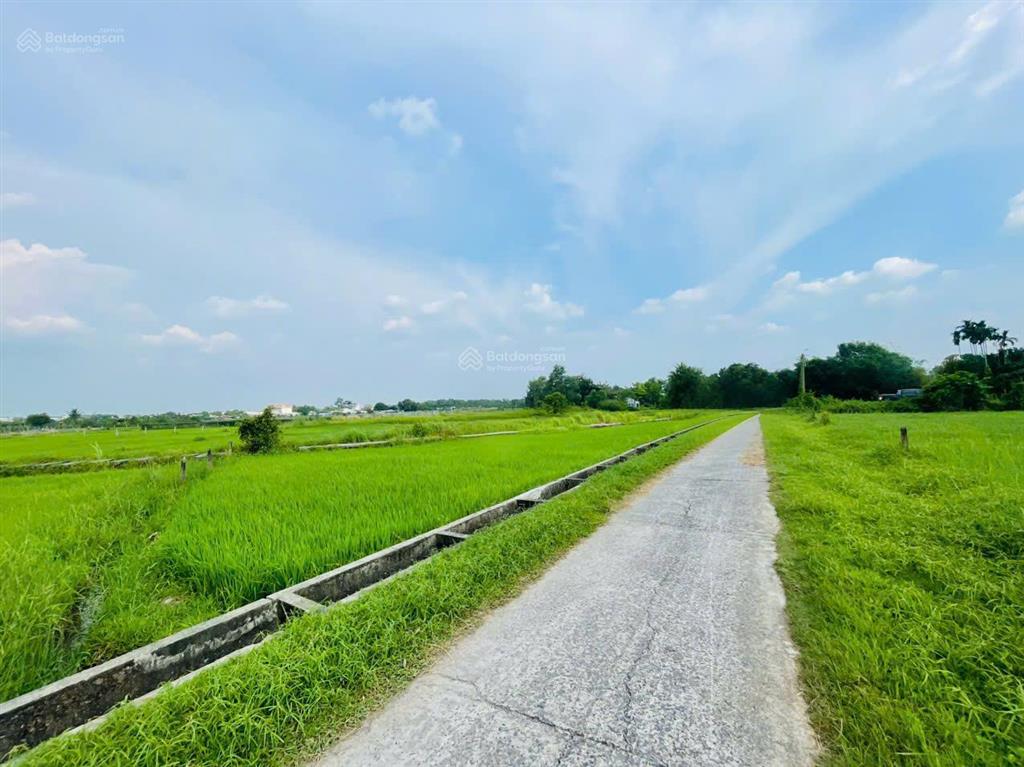 Bán gấp 272m2 đất củ chi giá 650tr shr