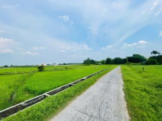 Bán gấp 272m2 đất củ chi giá 650tr shr