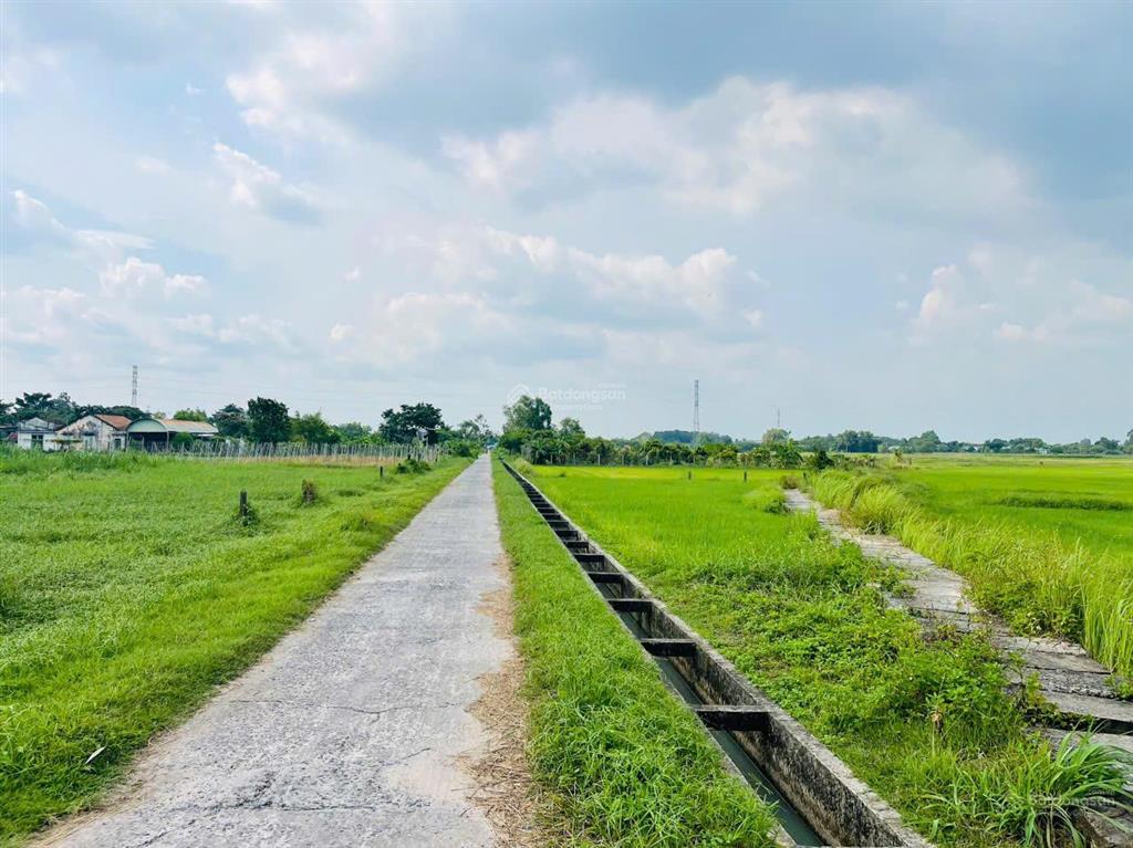 Bán gấp 272m2 đất củ chi giá 650tr shr