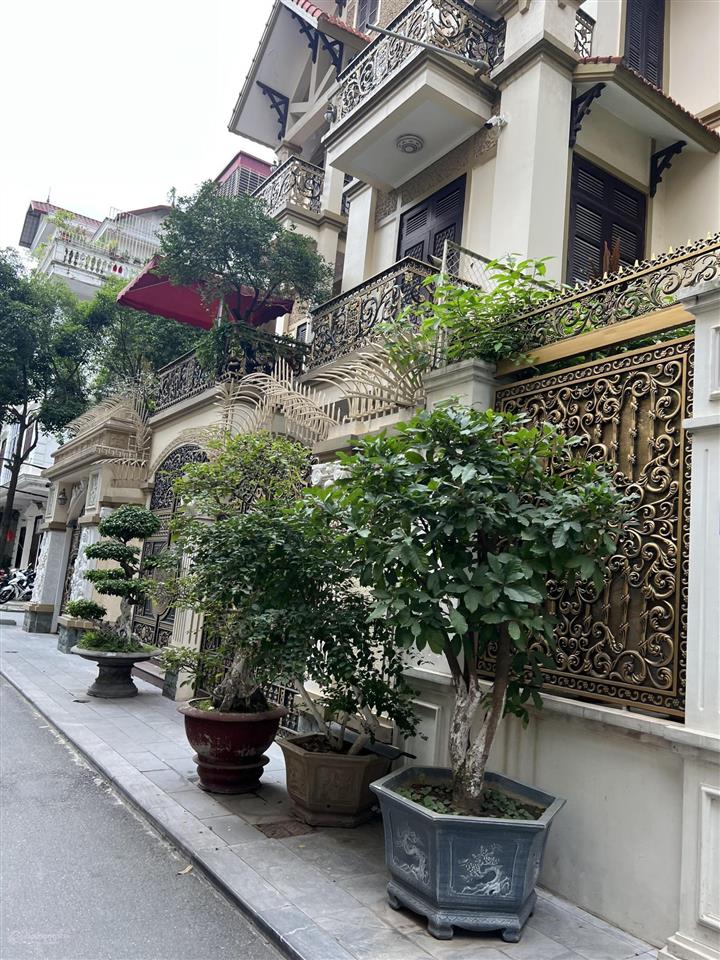 Biệt thự giá tốt nhất kđt mỹ đình 1 vị trí đẹp view thoáng 200m2  4 tầng  mặt tiền 10m giá 56 tỷ