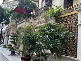 Biệt thự giá tốt nhất kđt mỹ đình 1 vị trí đẹp view thoáng 200m2  4 tầng  mặt tiền 10m giá 56 tỷ