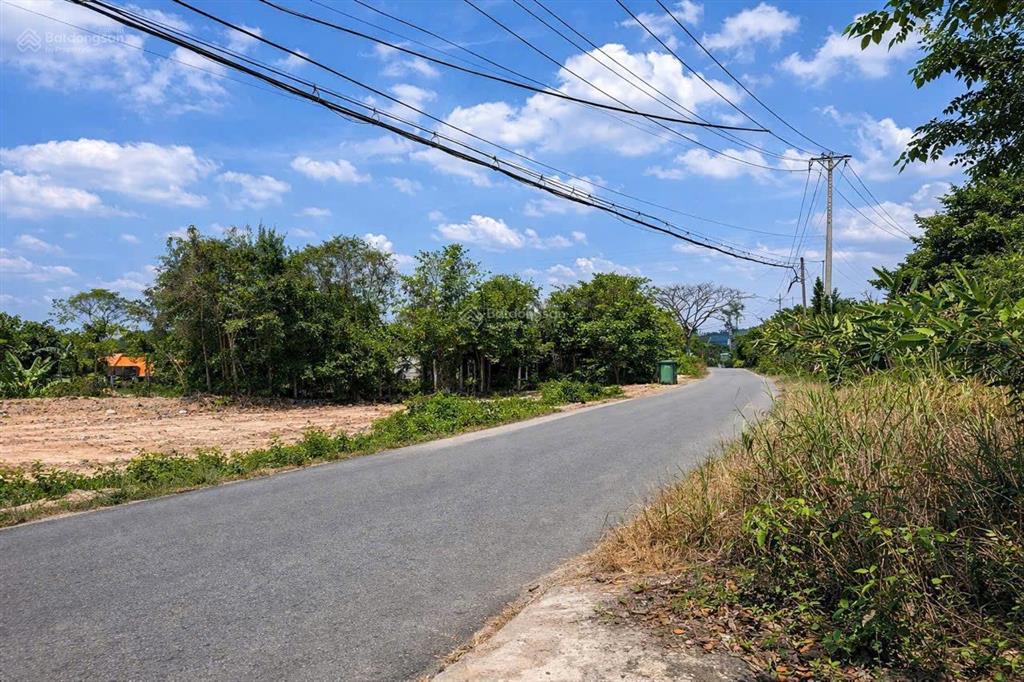 Tôi muốn bán gấp miếng vườn 991m2 (qh full hồng thổ cư) rất mong được gặp khách thiện chí sớm